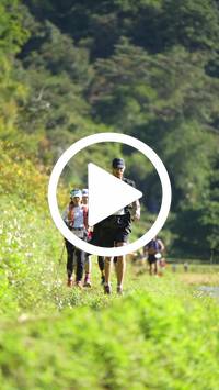 BIB:  <button type="button" onclick="openModal(26578816)" class="btn btn-primary btn-sm float-right" data-toggle="modal" data-target=".modal-high-quality">
                <i class="fa fa-download"></i> Download
                </button>